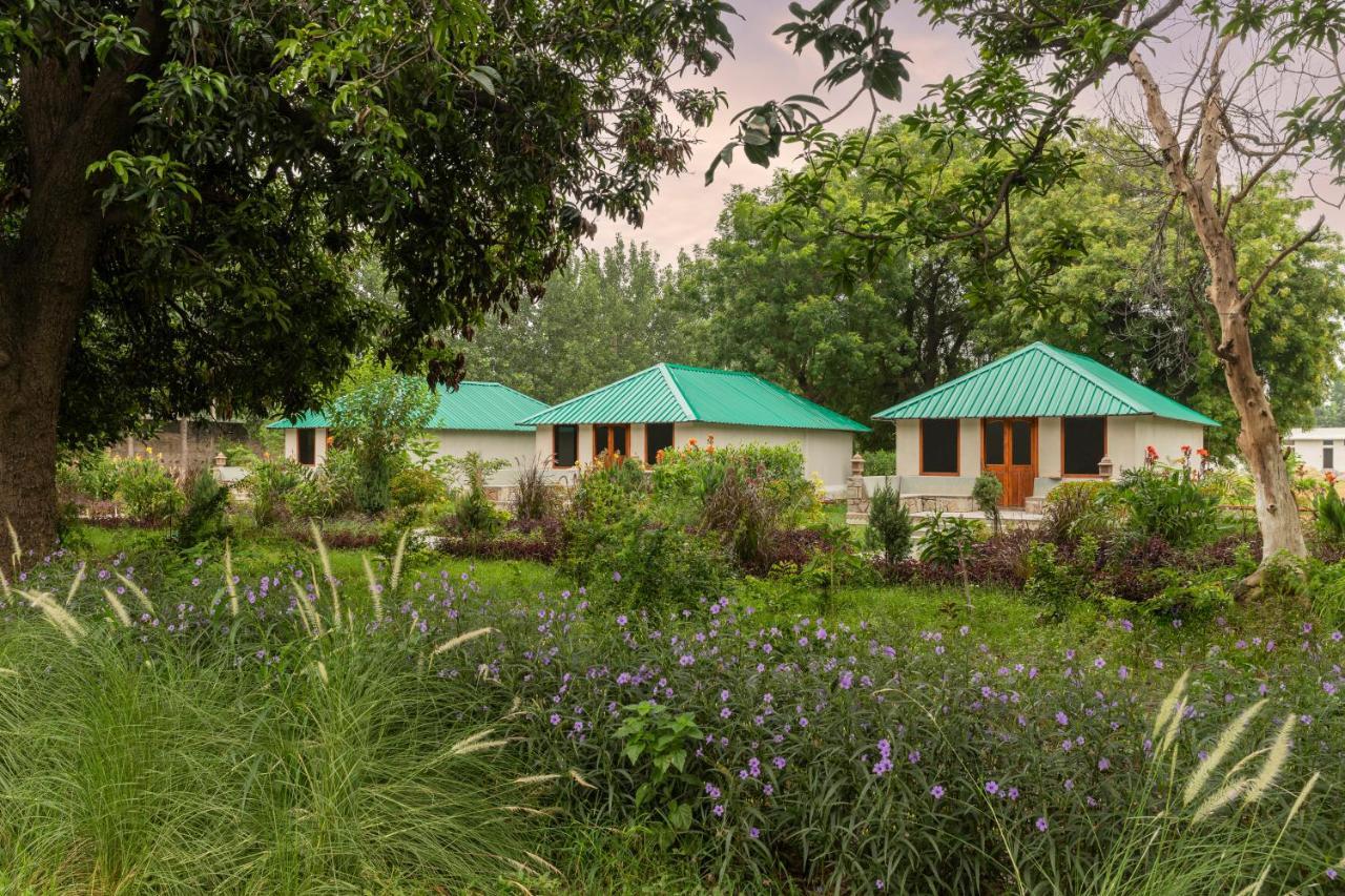 Zana Luxury Forest Resort, Ranthambore Sawai Madhopur Exteriér fotografie
