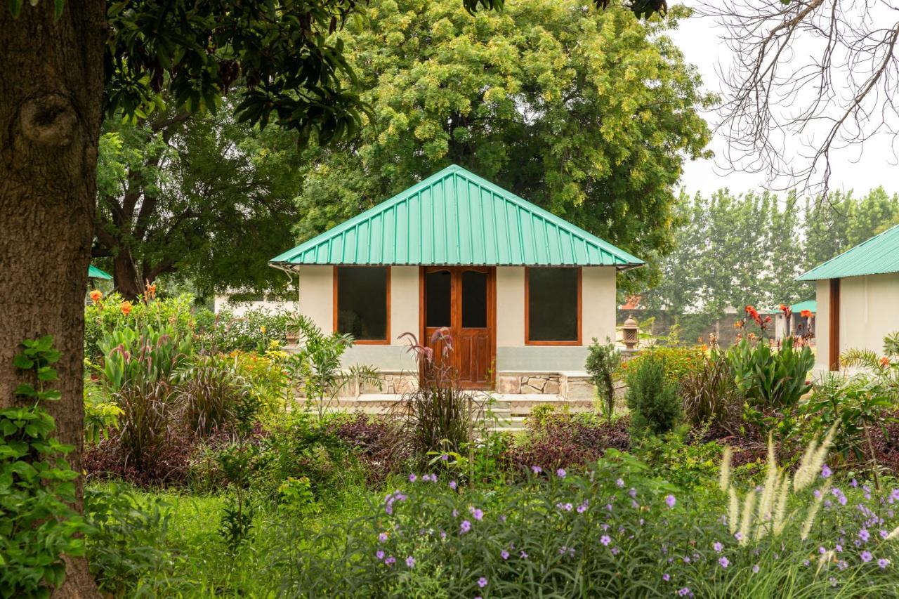 Zana Luxury Forest Resort, Ranthambore Sawai Madhopur Exteriér fotografie